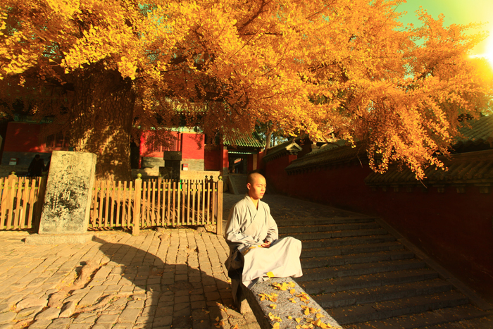 （登封）第十一届少林武术节10月16日至20日举行，今年亮点是……