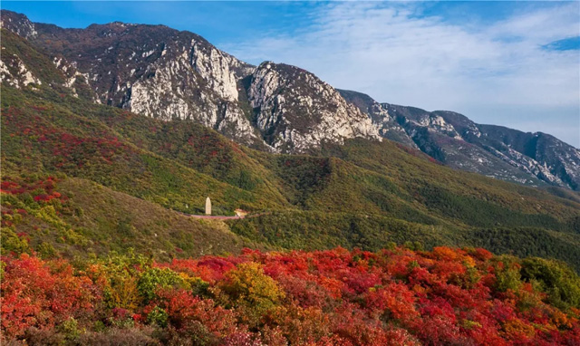 嵩山红叶